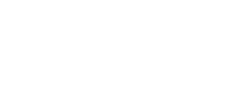 豫见海豚电竞